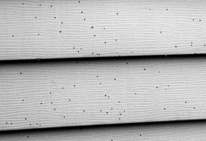 Its not fly poop. Its Artillery fungus on siding cleaning