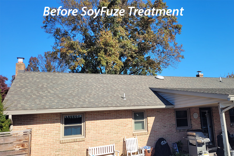 Faded, dry gray asphalt shingle roof on a brick ranch home before soy roof rejuvenation