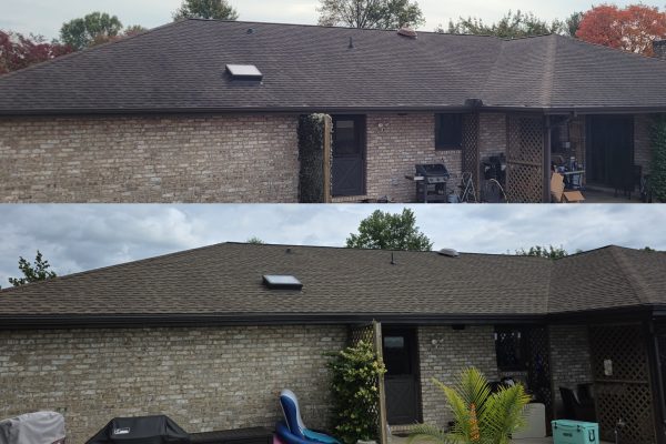 roof rejuvenation before and after WOW